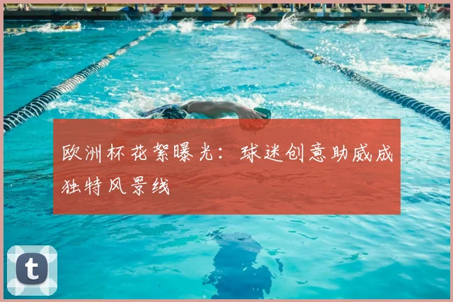 欧洲杯花絮曝光:球迷创意助威成独特风景线