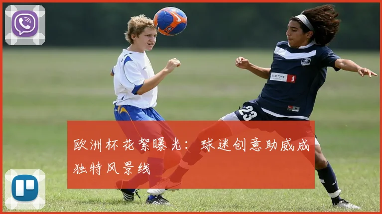 欧洲杯花絮曝光:球迷创意助威成独特风景线